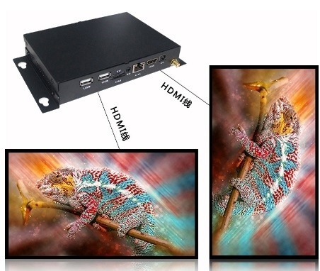 TF Stromende Speler HDMI van de Kaart8~32gb HDMI Media Player de Synchrone Controle